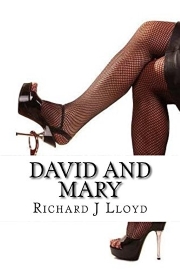 David And Mary by Richard J Lloyd
