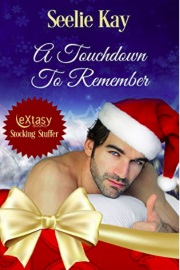 A Touchdown To Remember by Seelie Kay