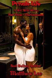 Private Life Part Three: A Hot Wife Story by Matthew Lee