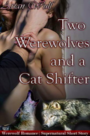 Two Werewolves And A Cat Shifter by Arian Wulf