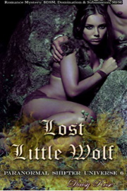 Lost Little Wolf: Paranormal Shifter Universe Book 6 by Daisy Rose