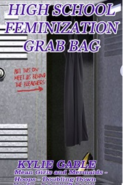 High School Feminization Grab Bag by Kylie Gable