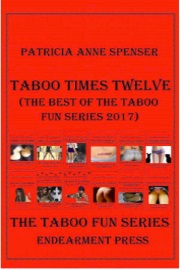 Taboo Times Twelve: (The Best Of The Taboo Fun Series 2017) by Patricia Anne Spenser