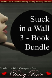 Stuck In A Wall 3 – Book Bundle by Daisy Rose