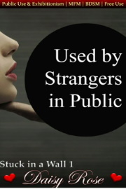 Used By Strangers In Public: Stuck In A Wall 1 by Daisy Rose